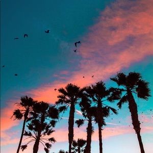 Meet your Posher, Lucy